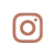 expertives icon instagram
